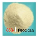 Fucoidan(large & low molecular weight)(Raw material powder)
